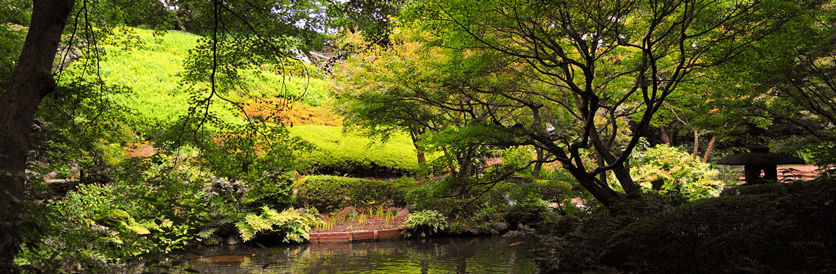地域のイメージ