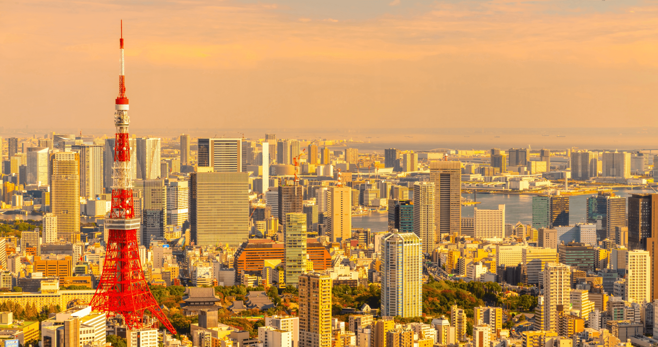 東京タワーとその周辺の夕焼け景色